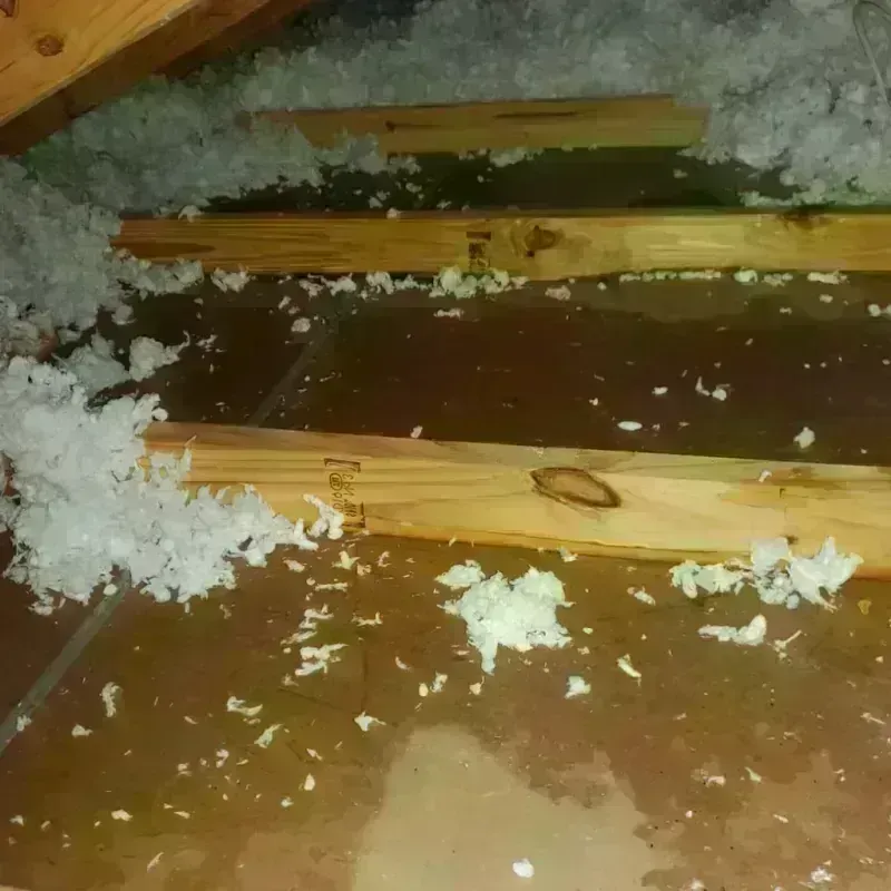 Attic Water Damage in Yreka, CA